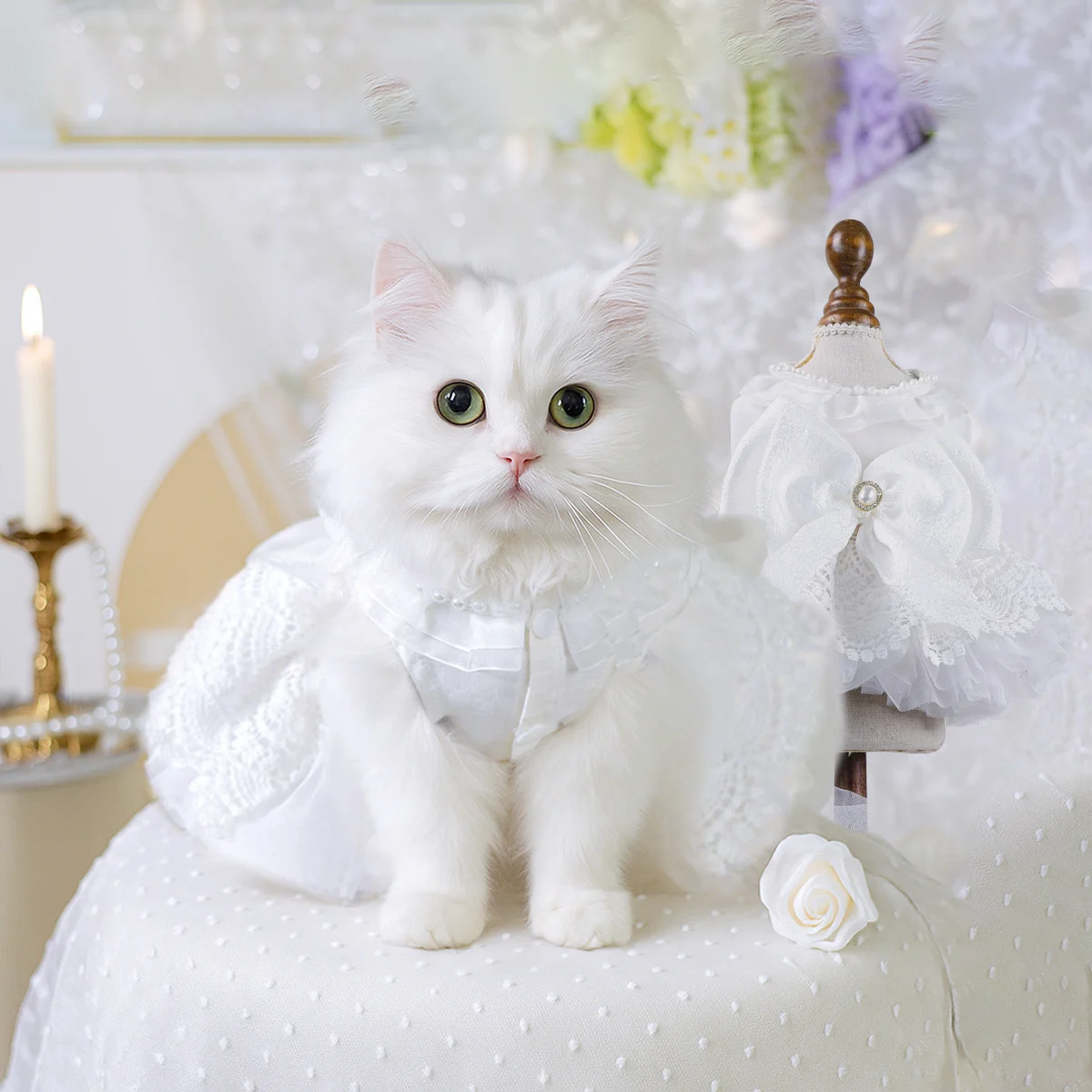 Cat Wedding Dress