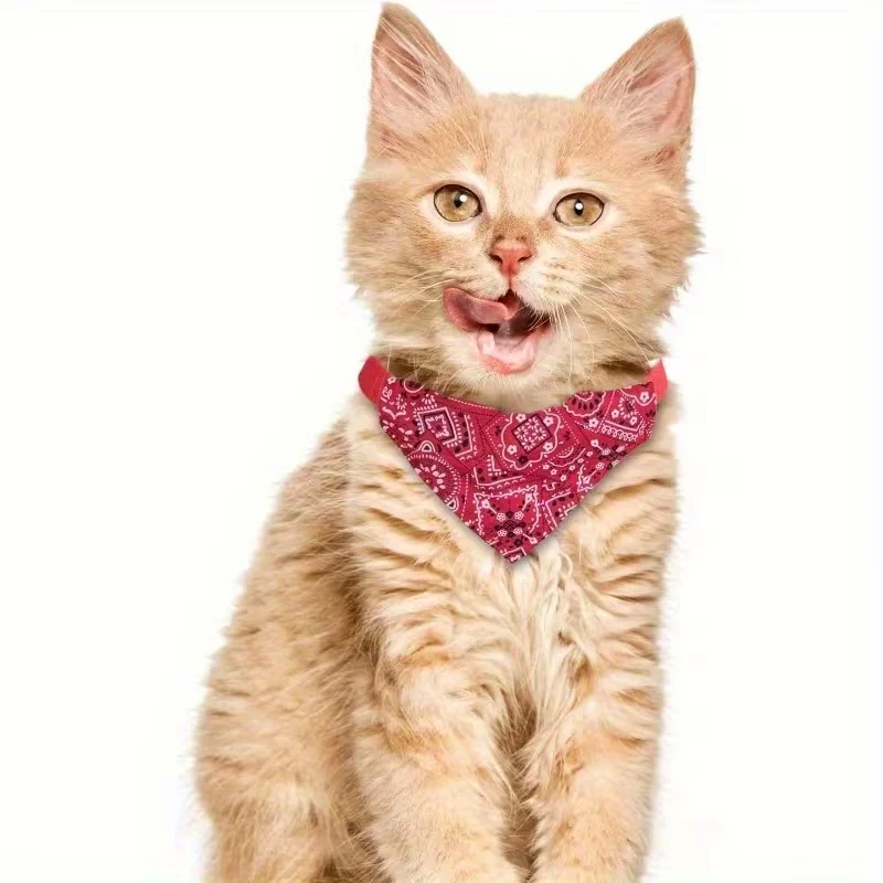 Cat With Bandana