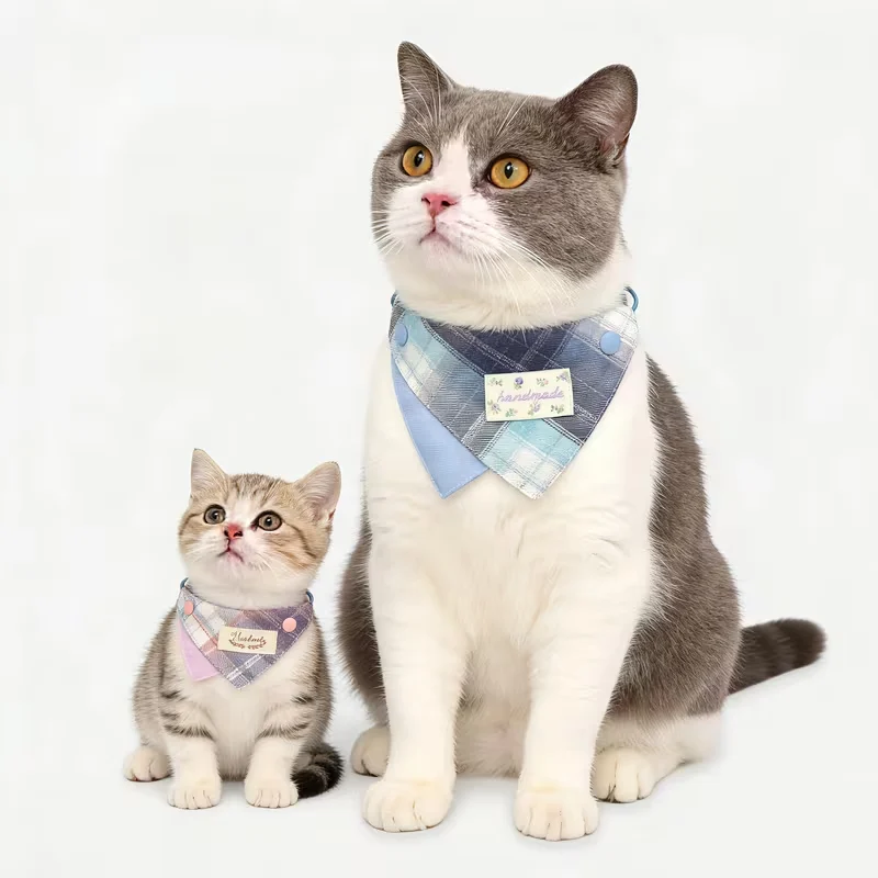 Cat With Bandana