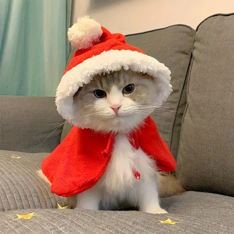 Cat Xmas Outfit
