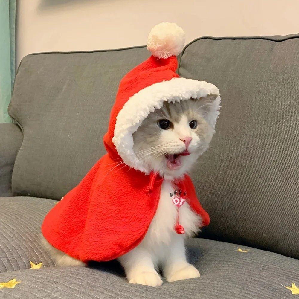 Cat Xmas Outfit - Image 4