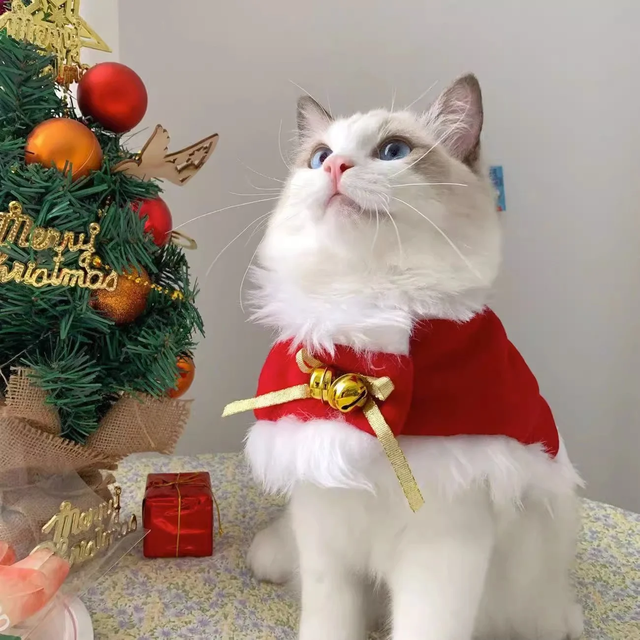 Cat Christmas Costume