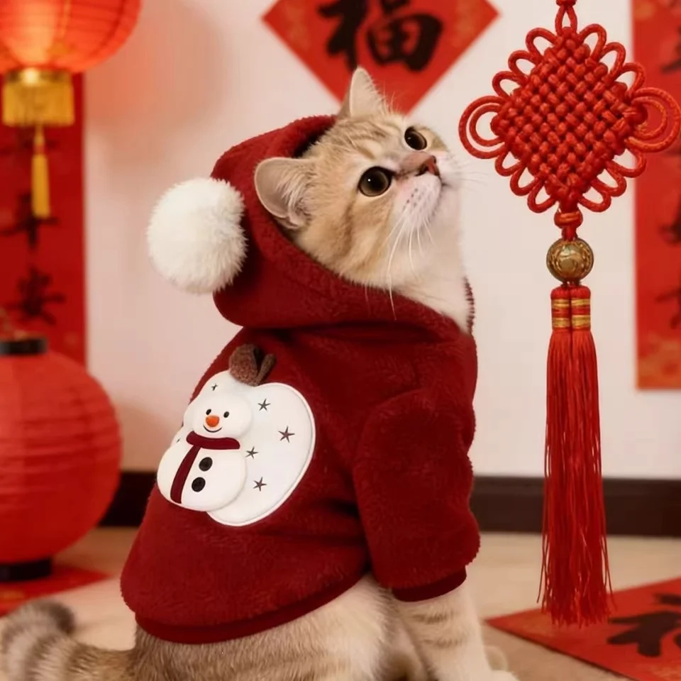 Christmas Costume Cat