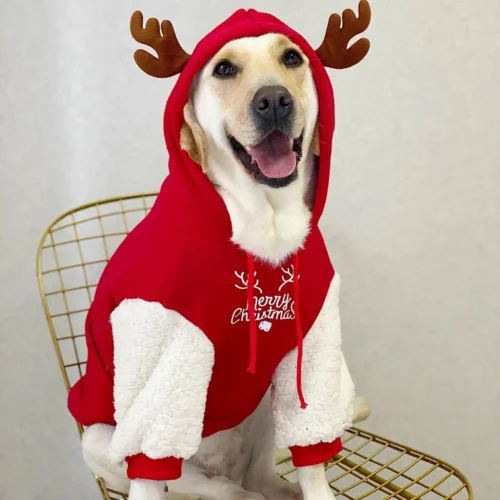 Christmas Dog Costume Large