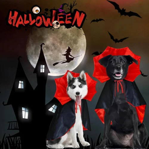Cool Dog Halloween Costumes