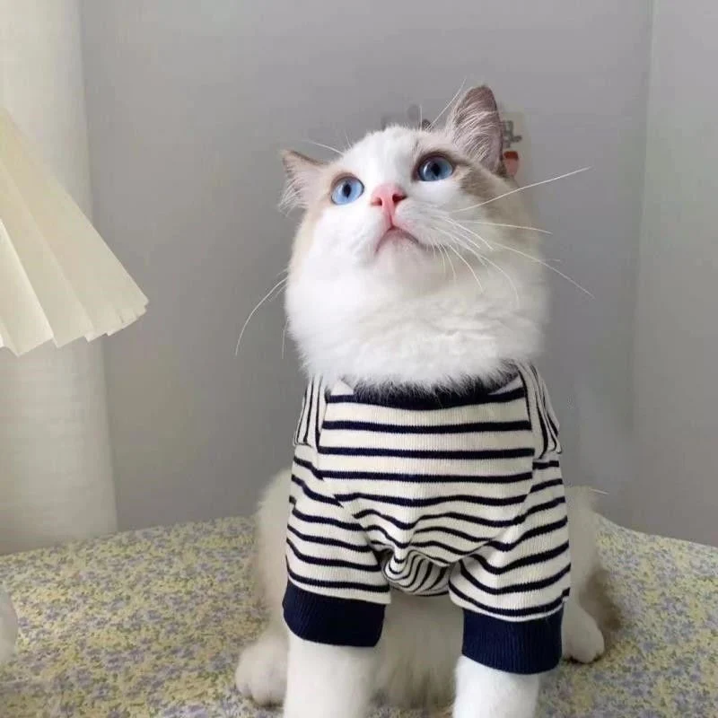 Cotton Cat Sweater