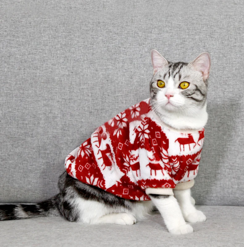 Custom Cat Christmas Sweater
