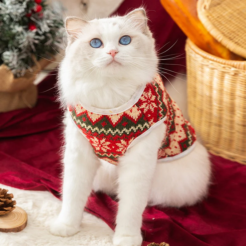 Cute Cat Christmas Sweater - Image 3