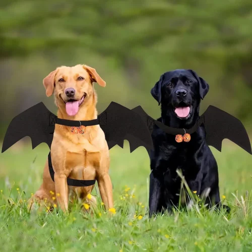 Dog Halloween Costumes