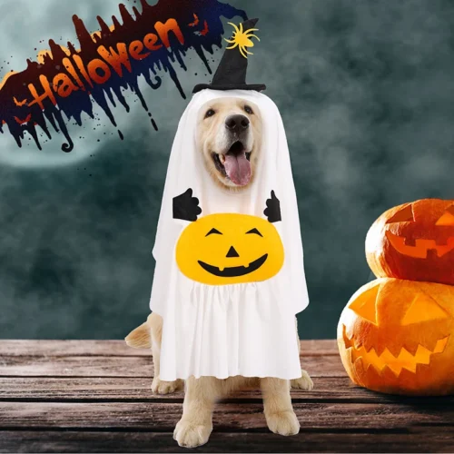 Dog Halloween Costumes Pumpkin