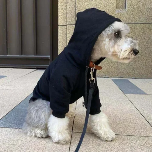 Dog Jacket With Hood
