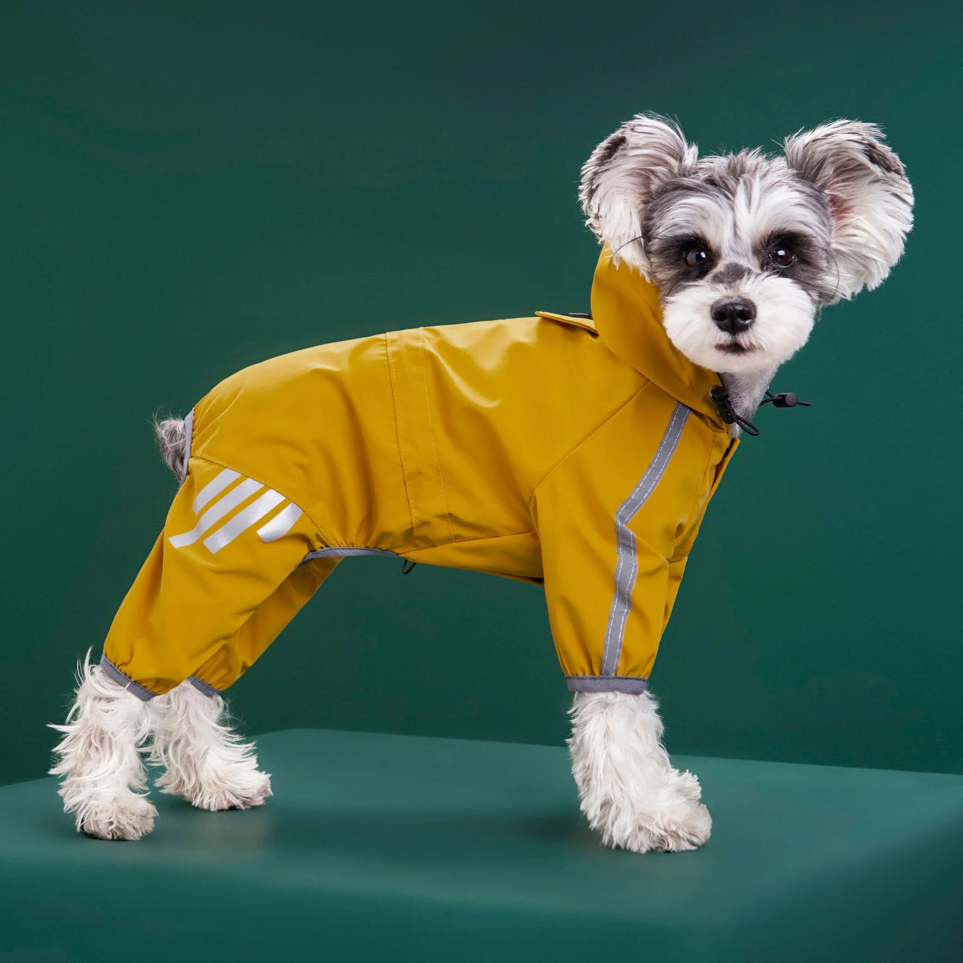Dog Rain Slicker - Image 4