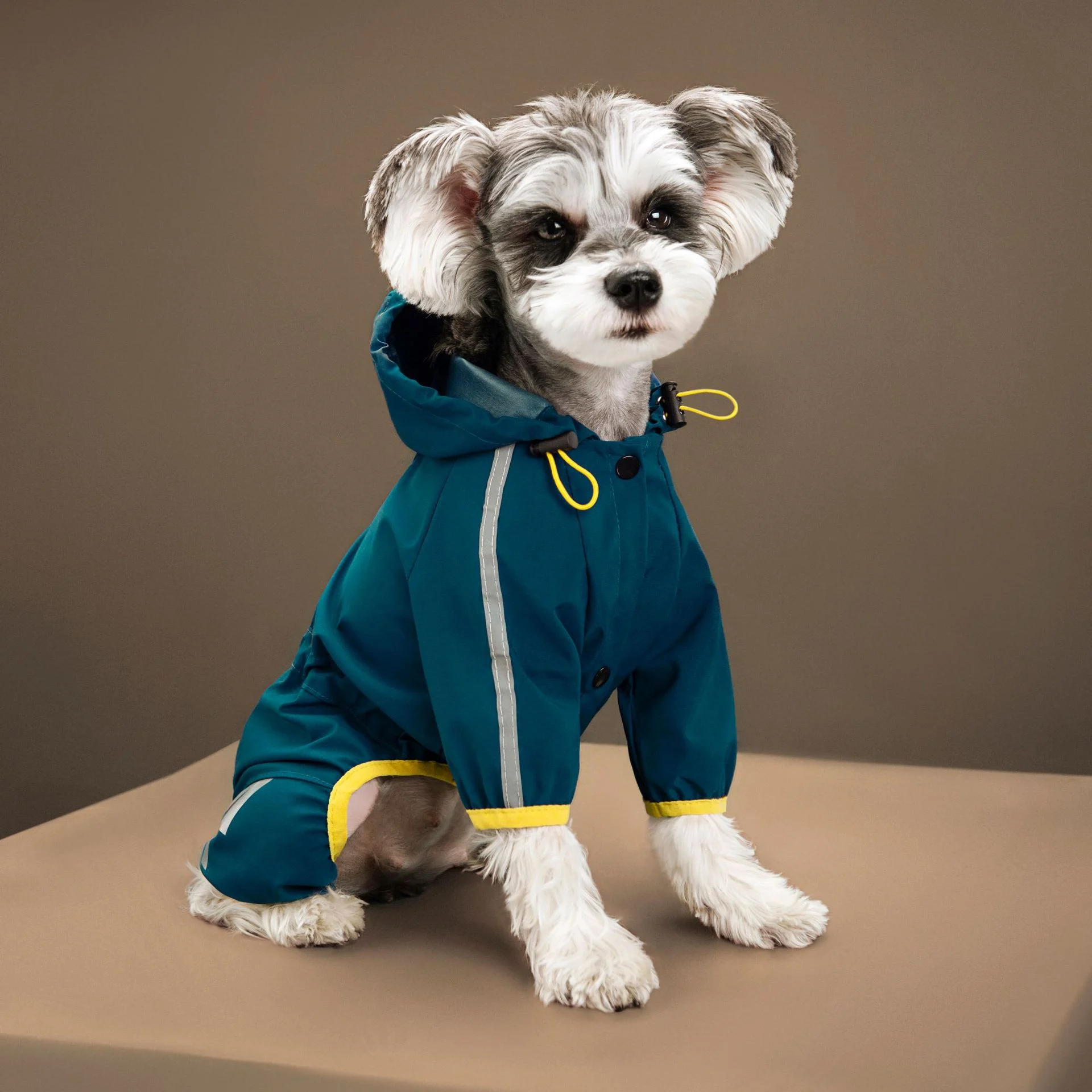 Dog Rain Slicker