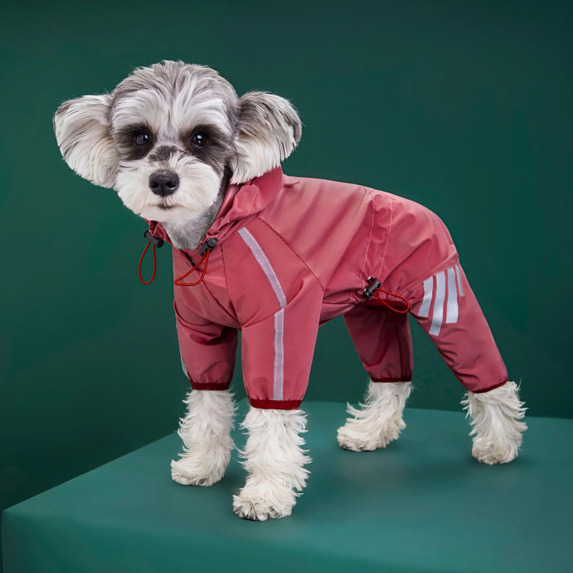 Dog Rain Slicker - Image 3