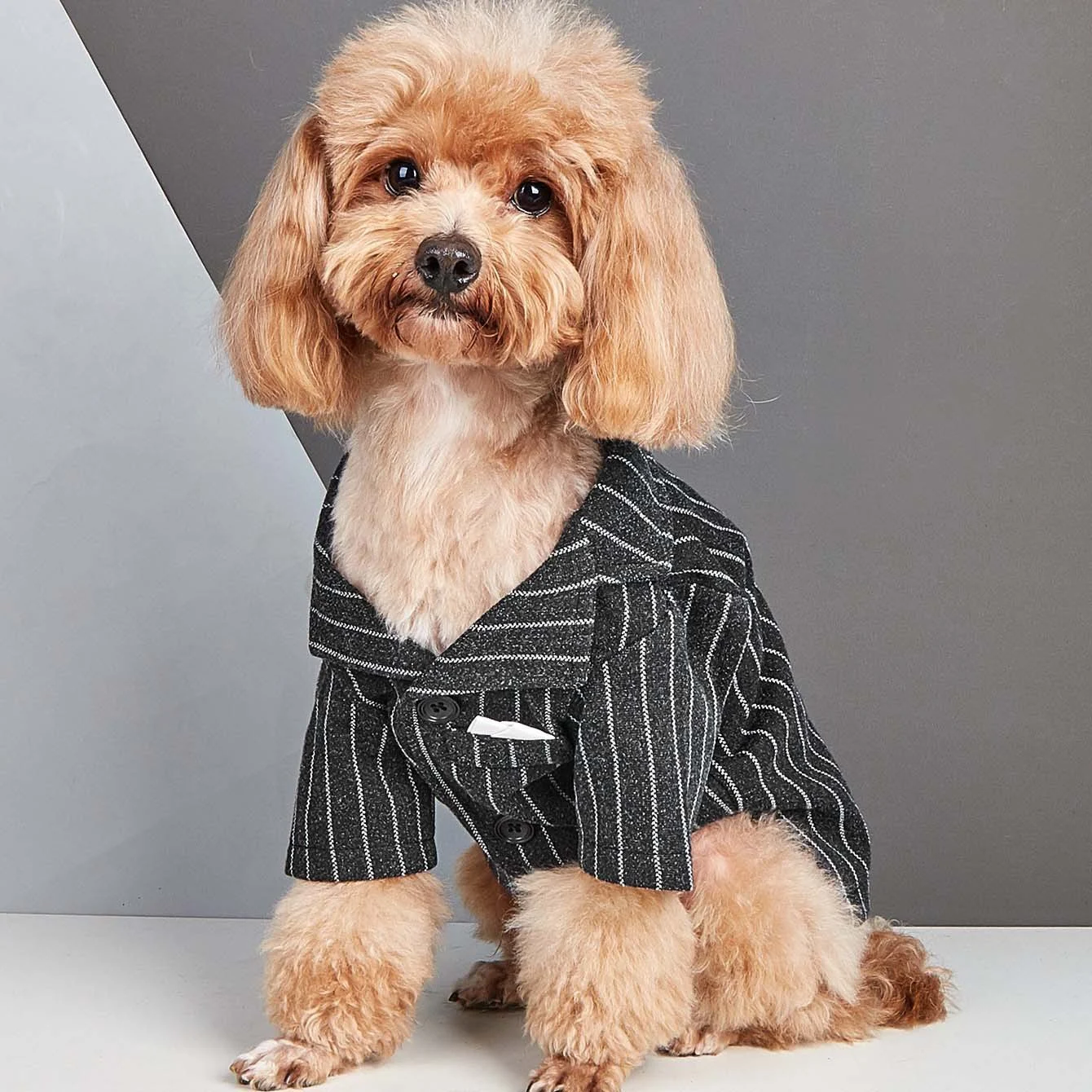Dog Tuxedo Costume