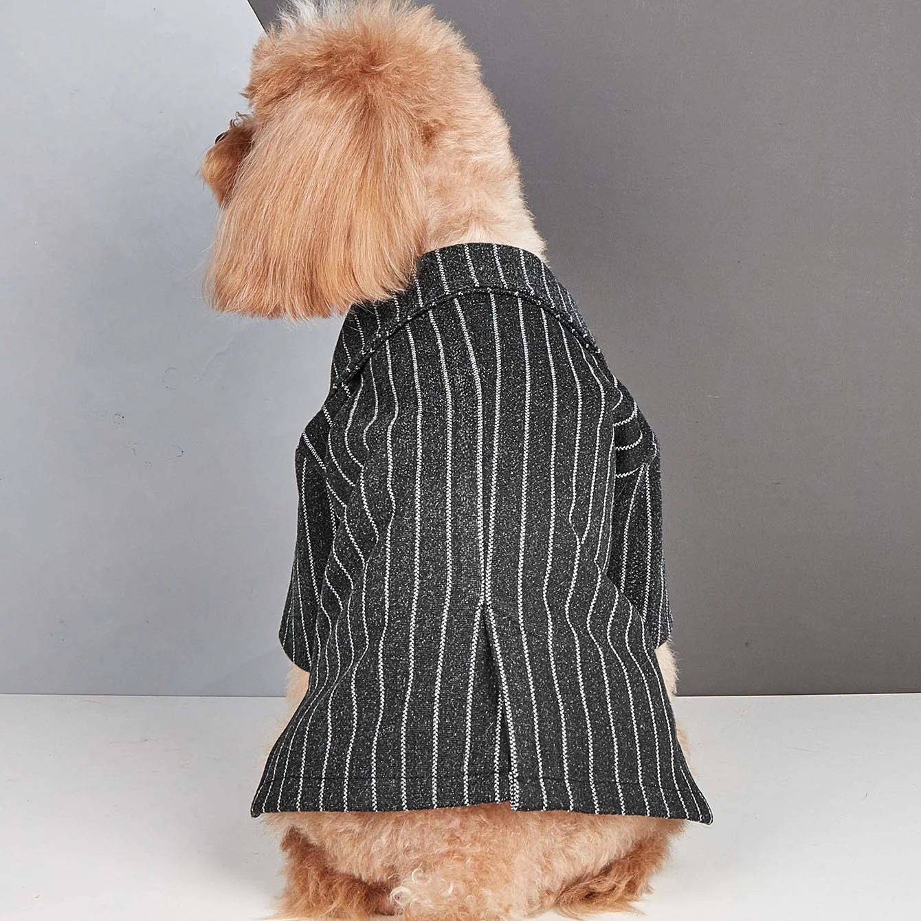 Dog Tuxedo Costume - Image 3