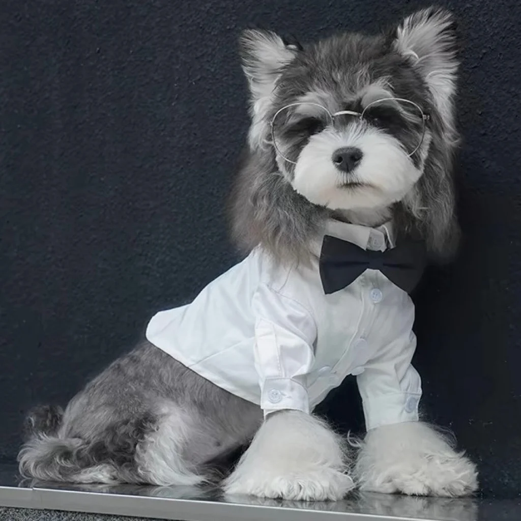 Dog Tuxedo Shirt