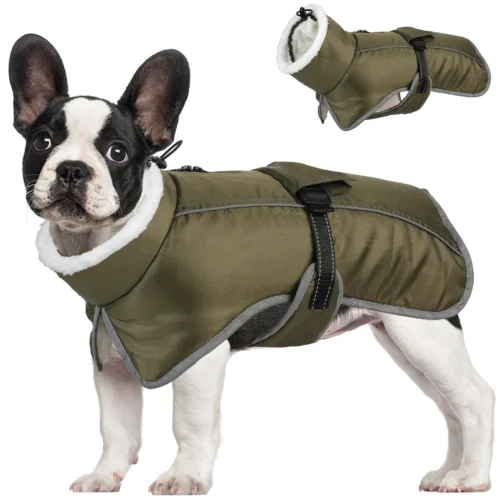 Dog Waterproof Snowsuit