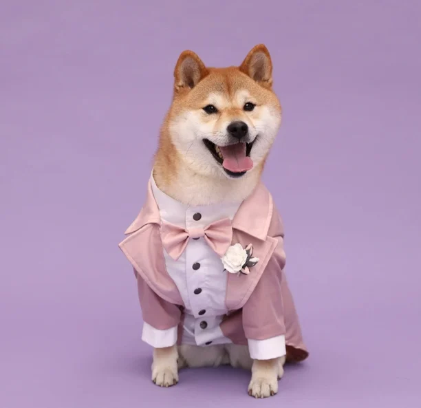 Dog Wedding Tuxedo - Image 5