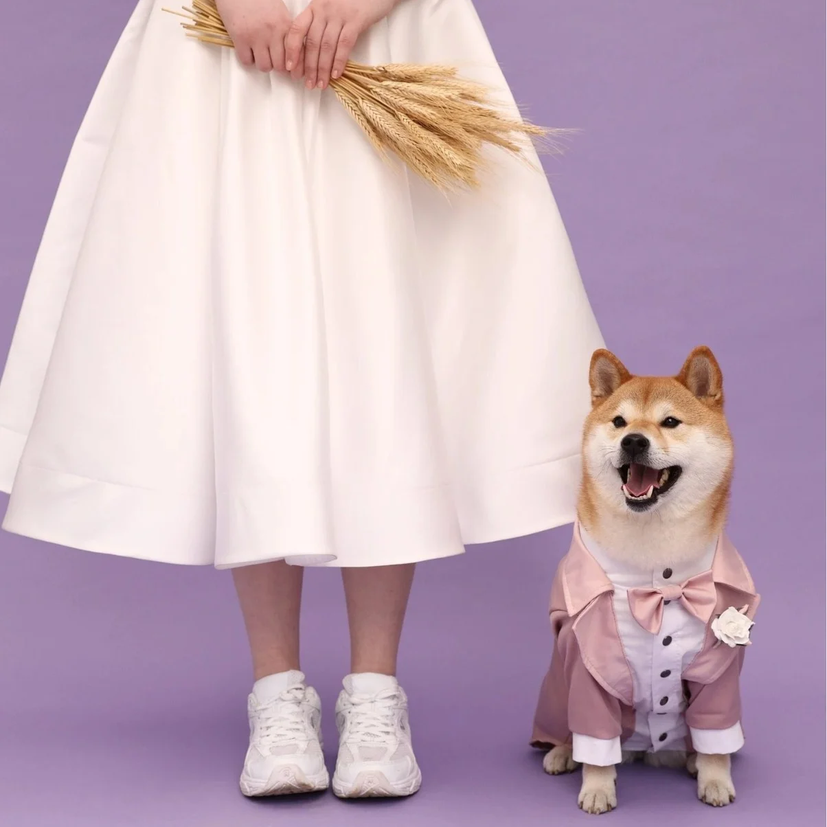 Dog Wedding Tuxedo - Image 6