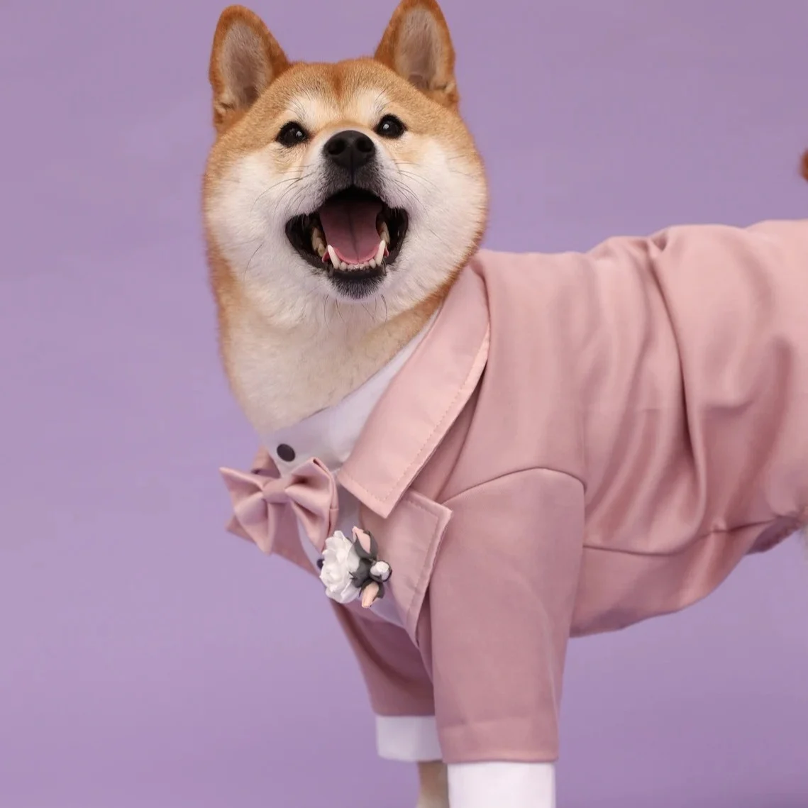 Dog Wedding Tuxedo