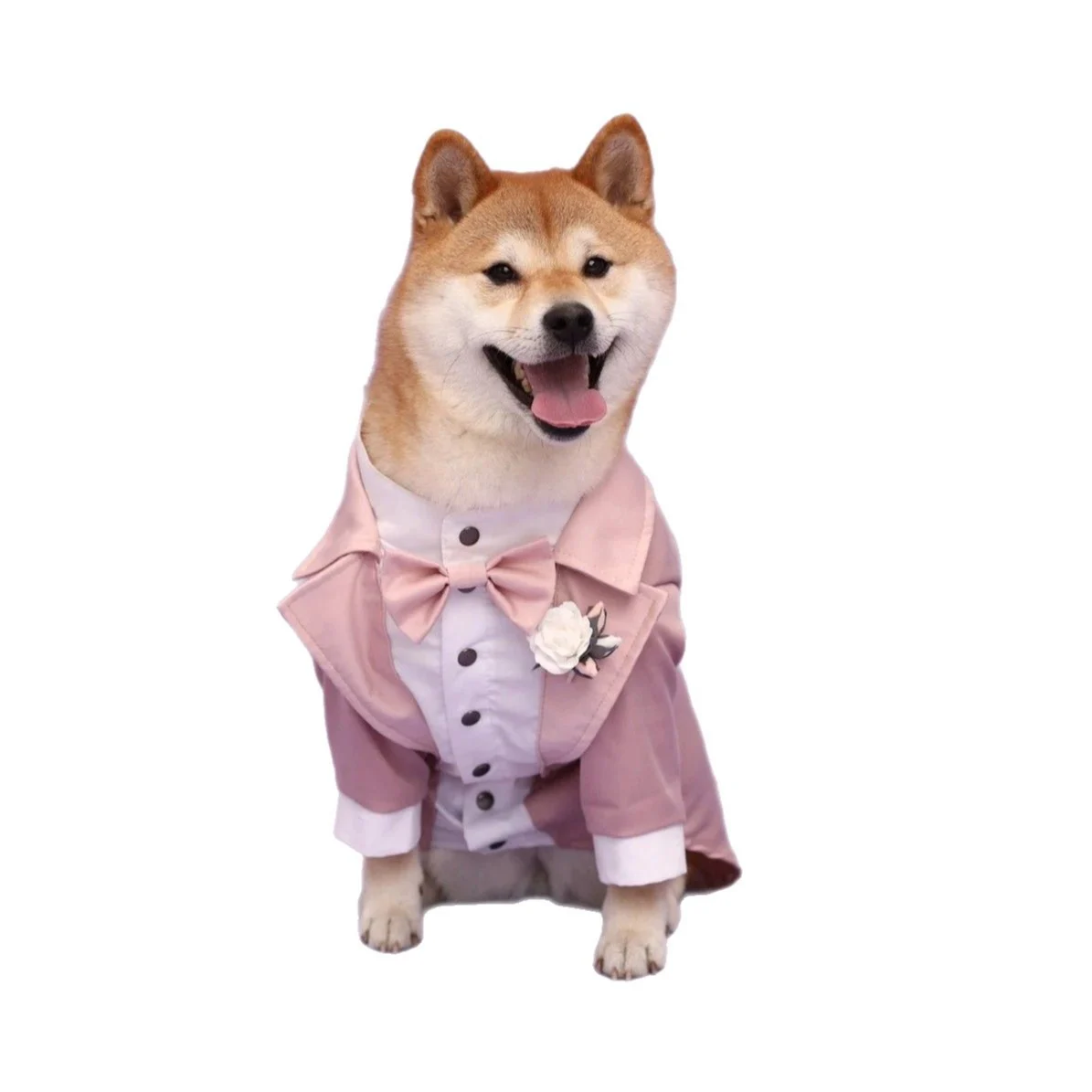 Dog Wedding Tuxedo - Image 4