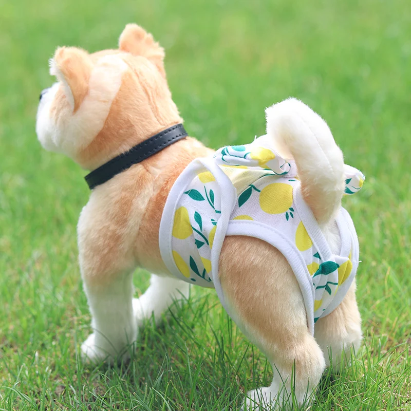 Female Dog Panties