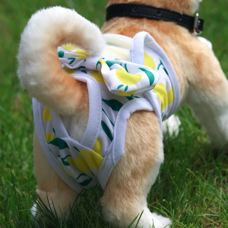 Female Dog Panties - Image 5