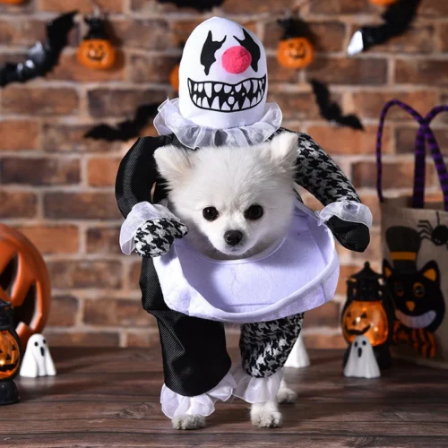 Good Dog Halloween Costumes