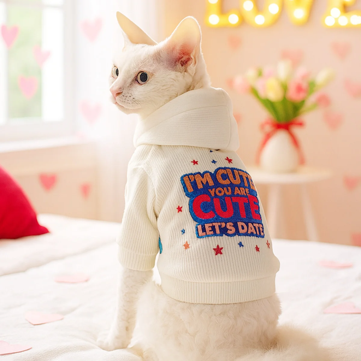 Hooded Sweatshirt For Cats