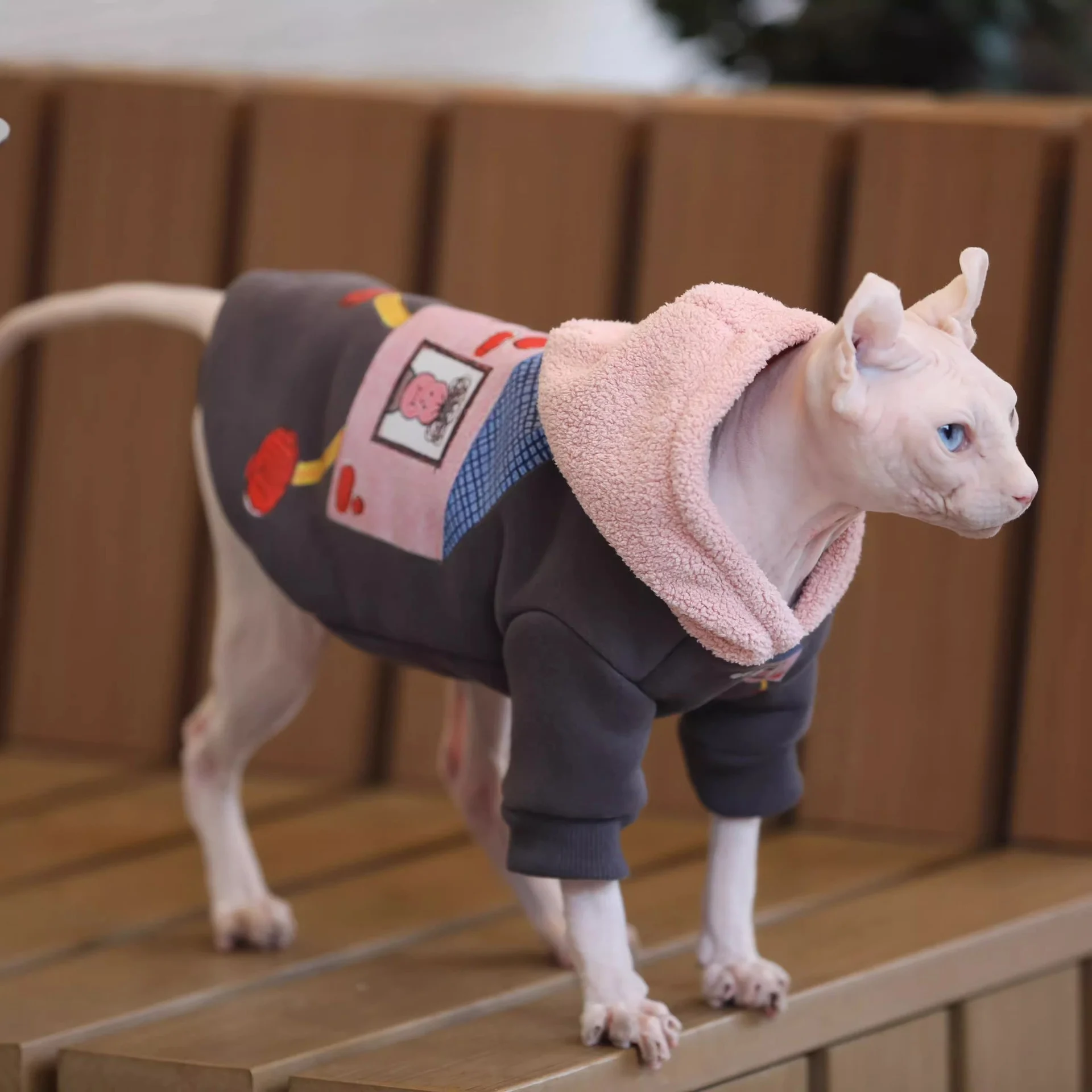 Hoodies For Cats
