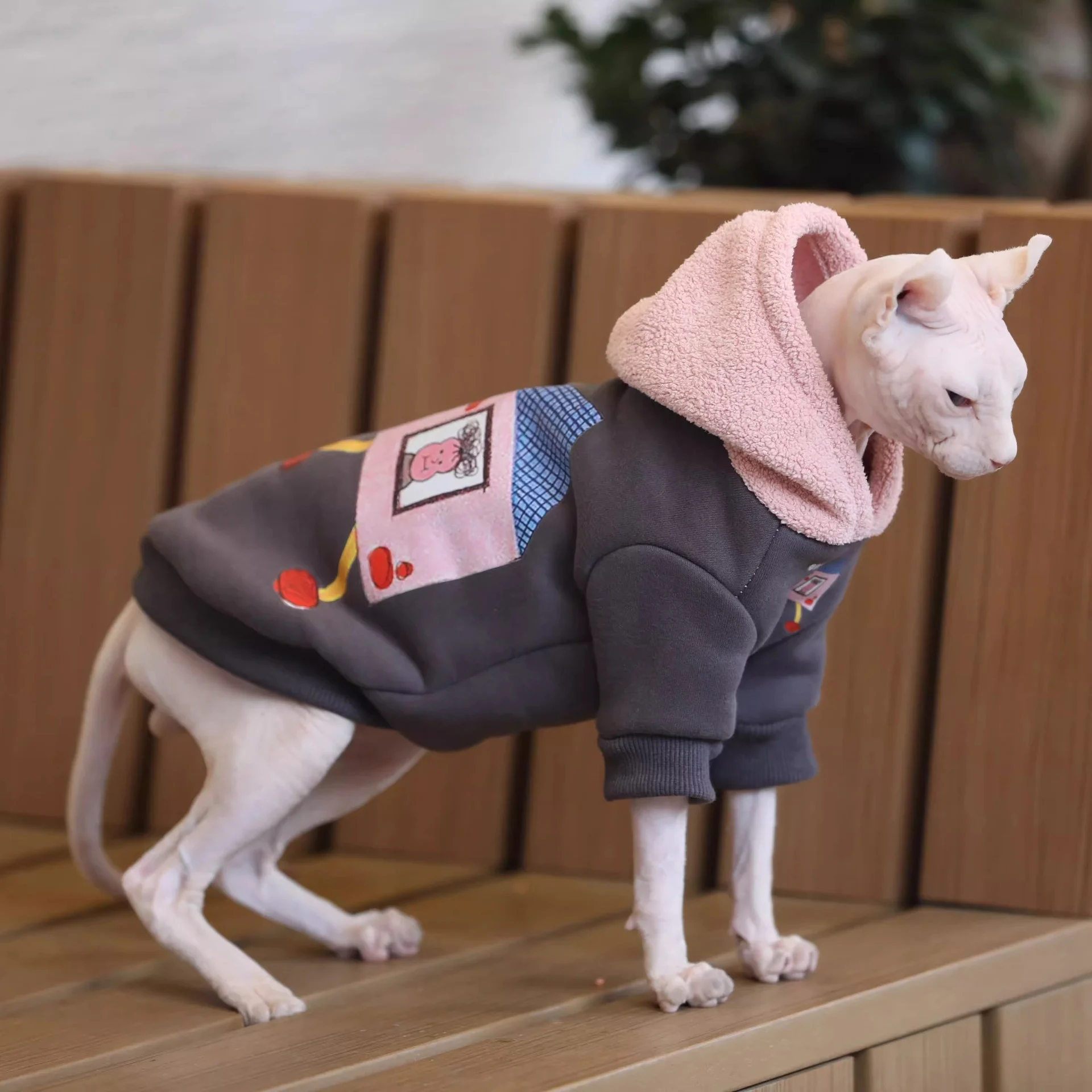 Hoodies For Cats - Image 4