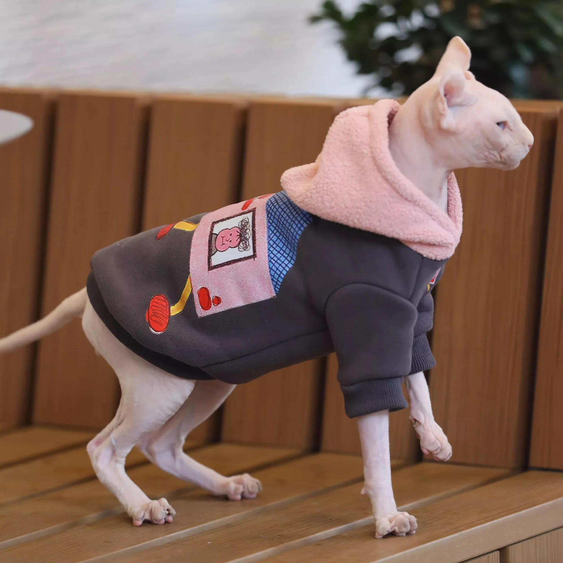 Hoodies For Cats - Image 3