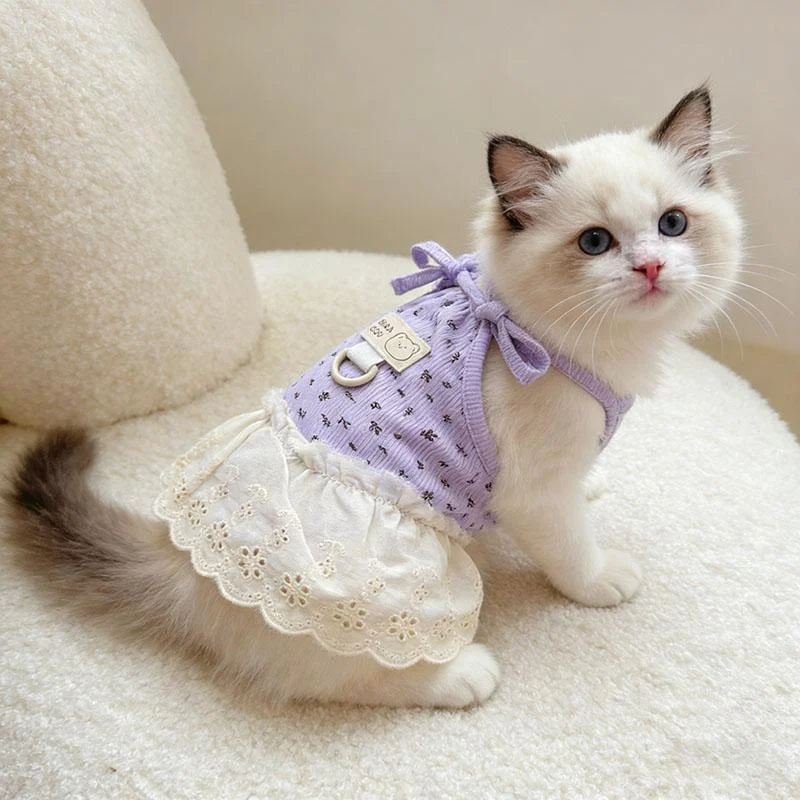 Kitten Dress