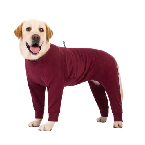 Large Dog Onesie