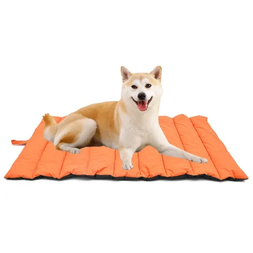 Outdoor Mat For Dogs