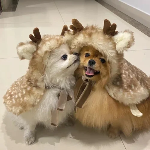 Reindeer Antlers Dog Costume