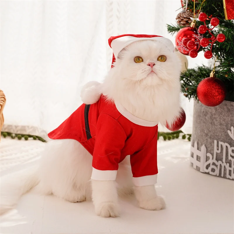 Santa Claus Cat Costume