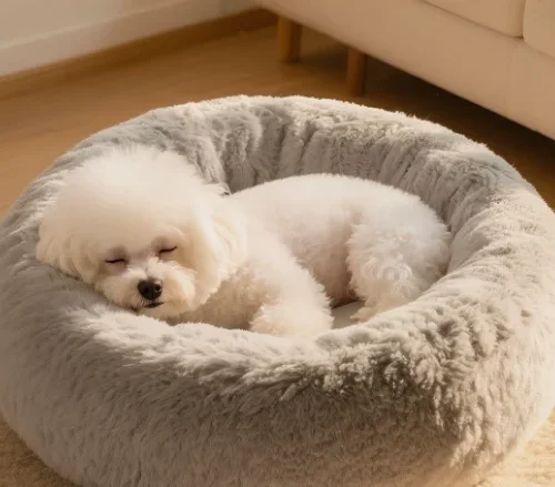 Small Dog Beds