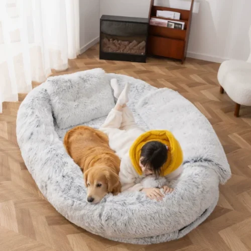 Human Dog Beds