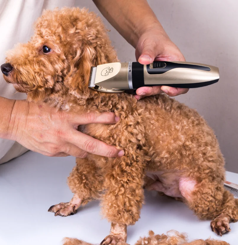 Dog Hair Clipper