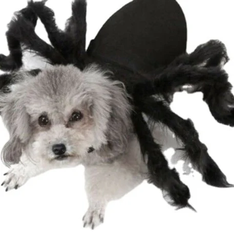 Small Dog Halloween Costumes