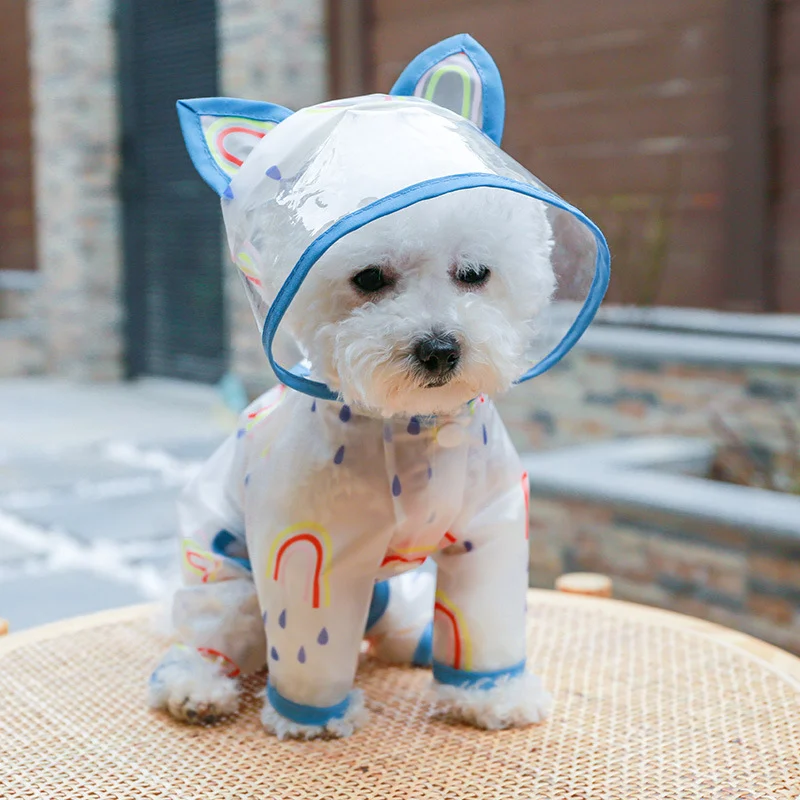 Small Dog Raincoat