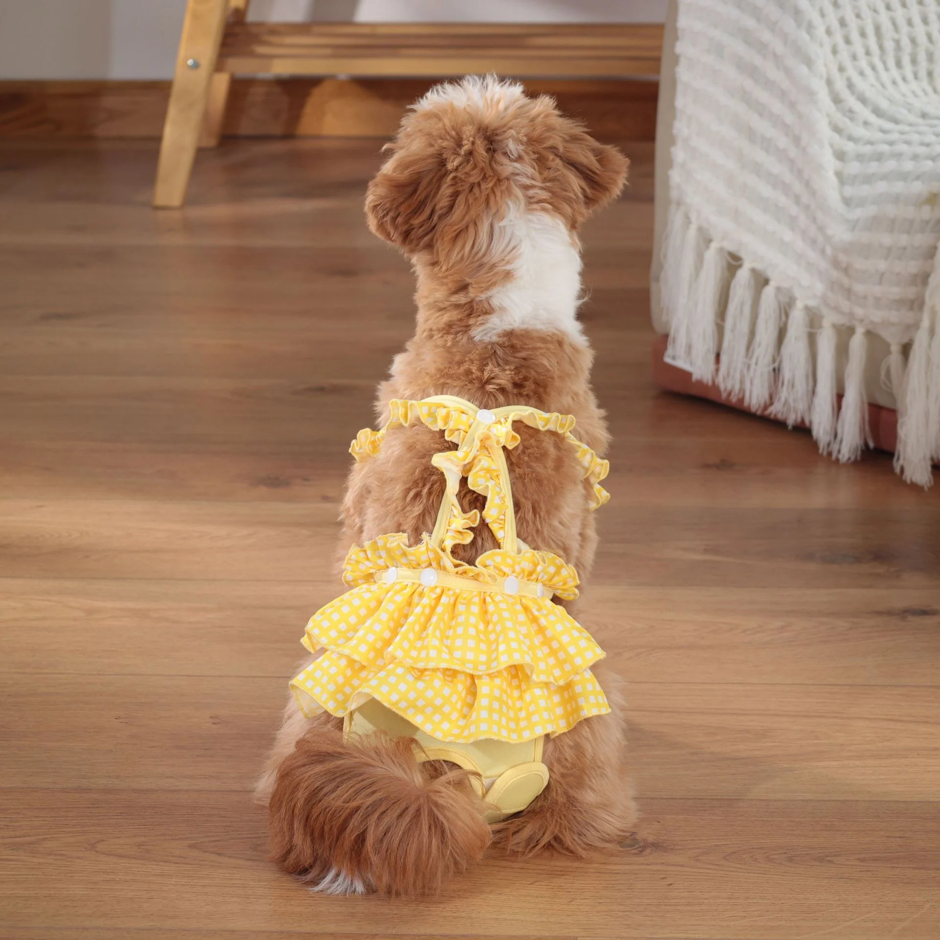 Small Female Dog Diapers - Image 5