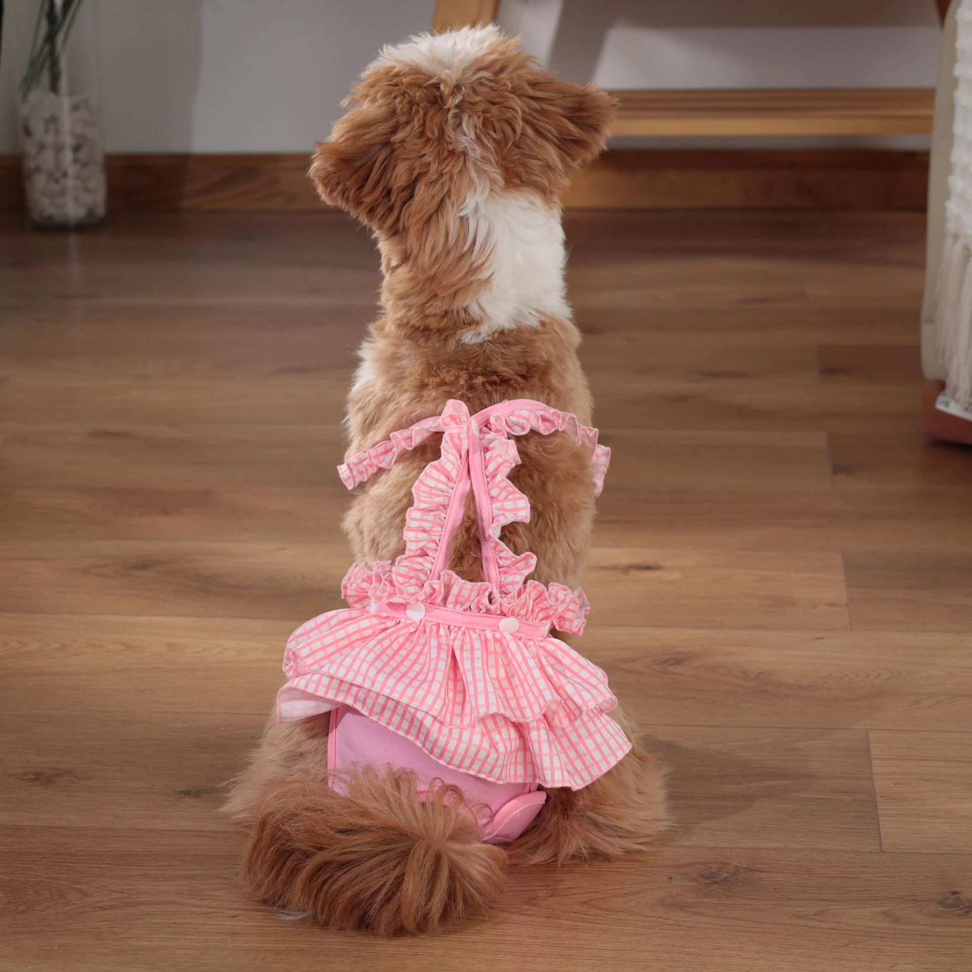 Small Female Dog Diapers - Image 4