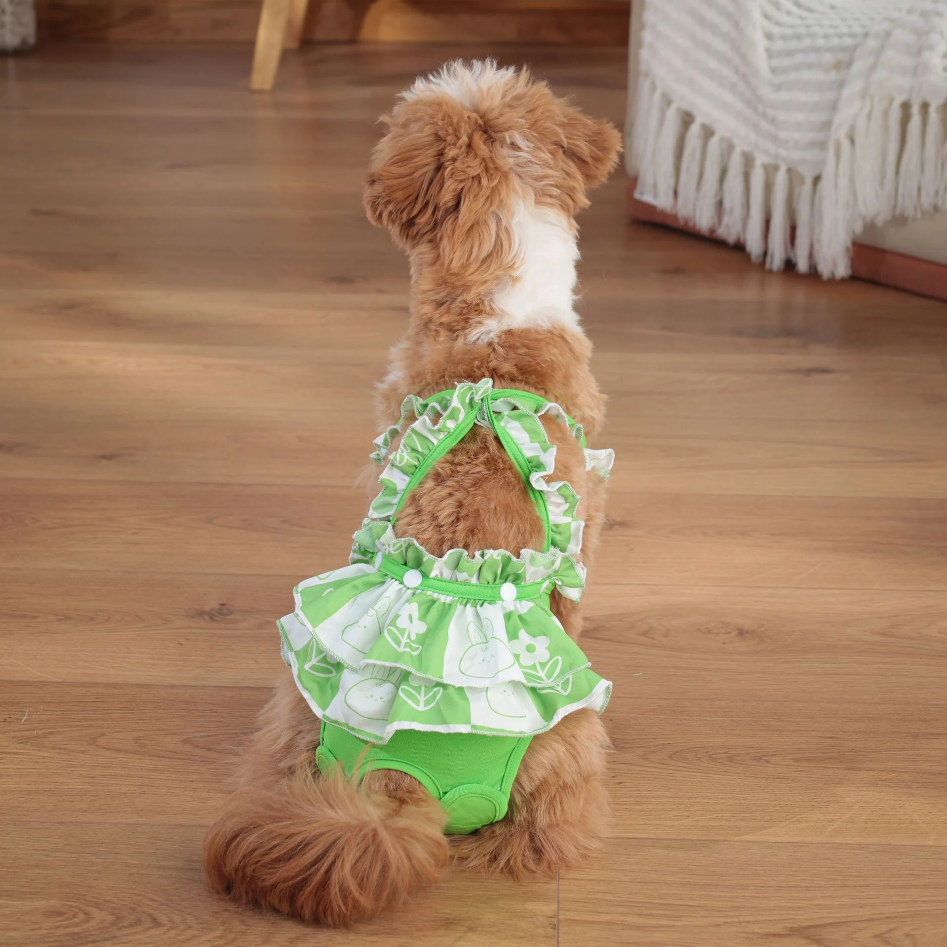 Small Female Dog Diapers - Image 3
