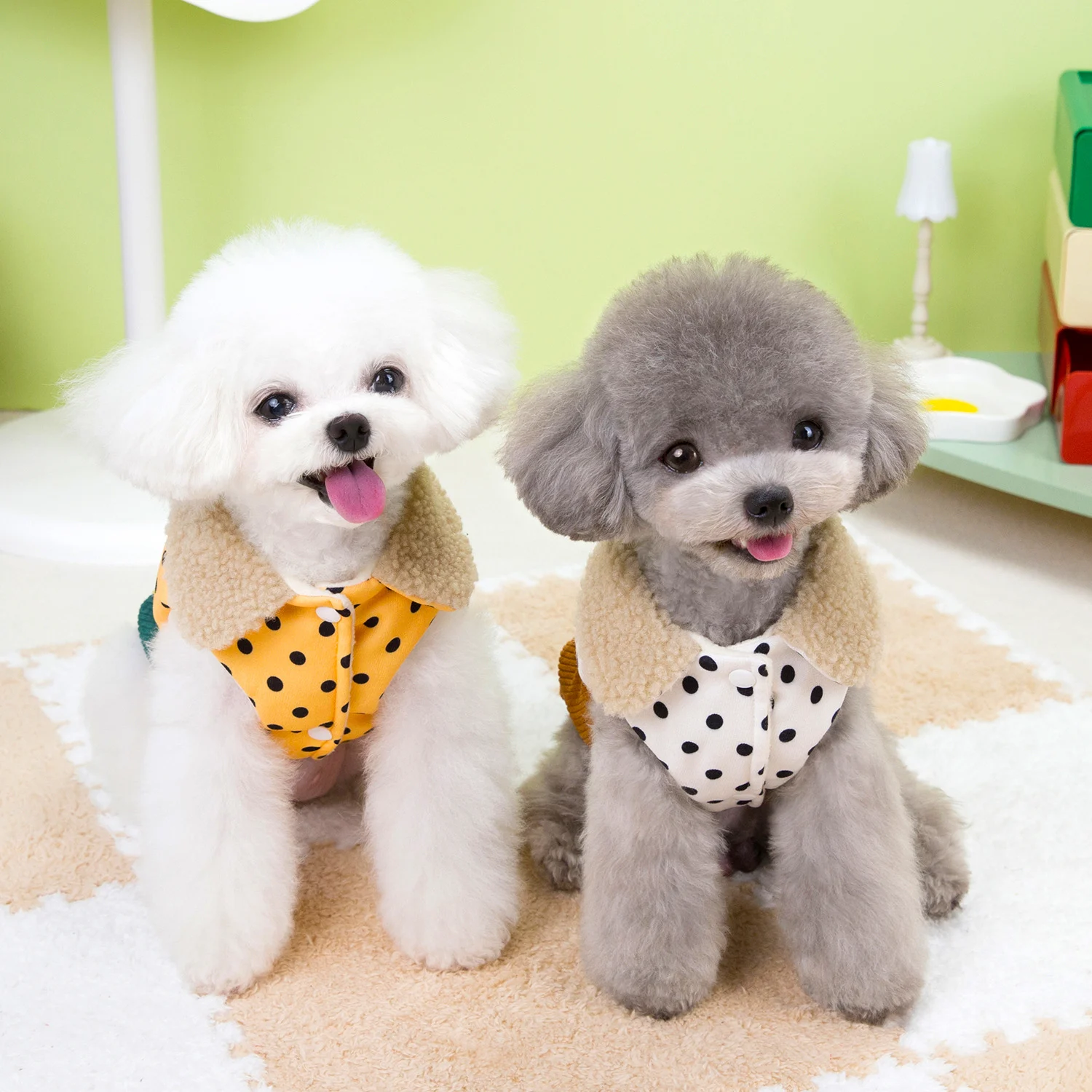 Small Winter Dog Coats - Image 5