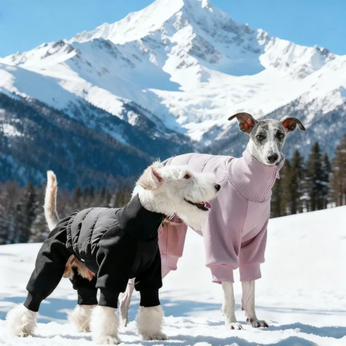 Snowsuit For Dogs