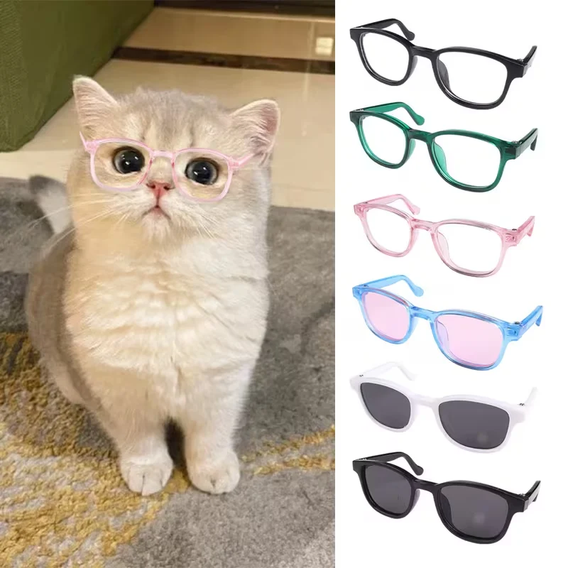 Sunglasses Cool Cat