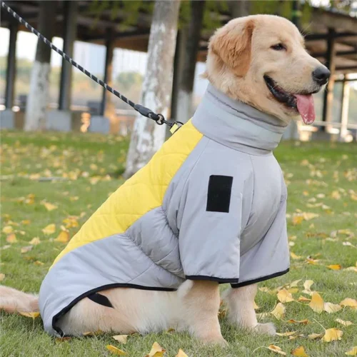 Super Puff Dog Jacket